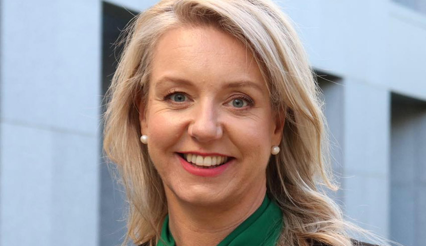 Bridget McKenzie lw