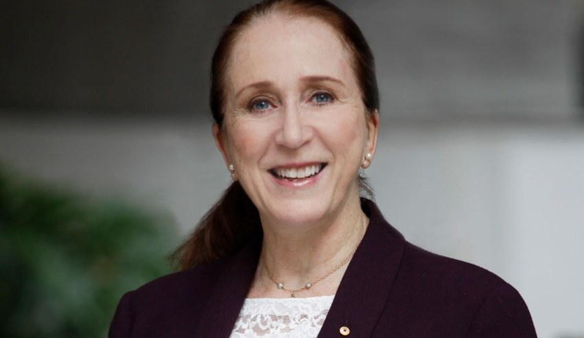 Rosalinda Croucher, president of Australian Human Rights Commission