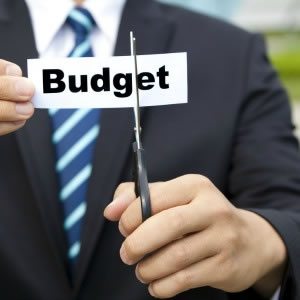 Budget cut